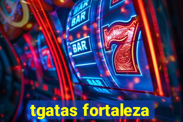 tgatas fortaleza